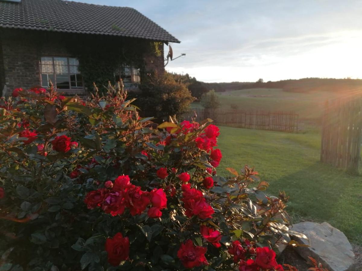 Rocks & Roses Farm Stay Lochiel Exterior foto