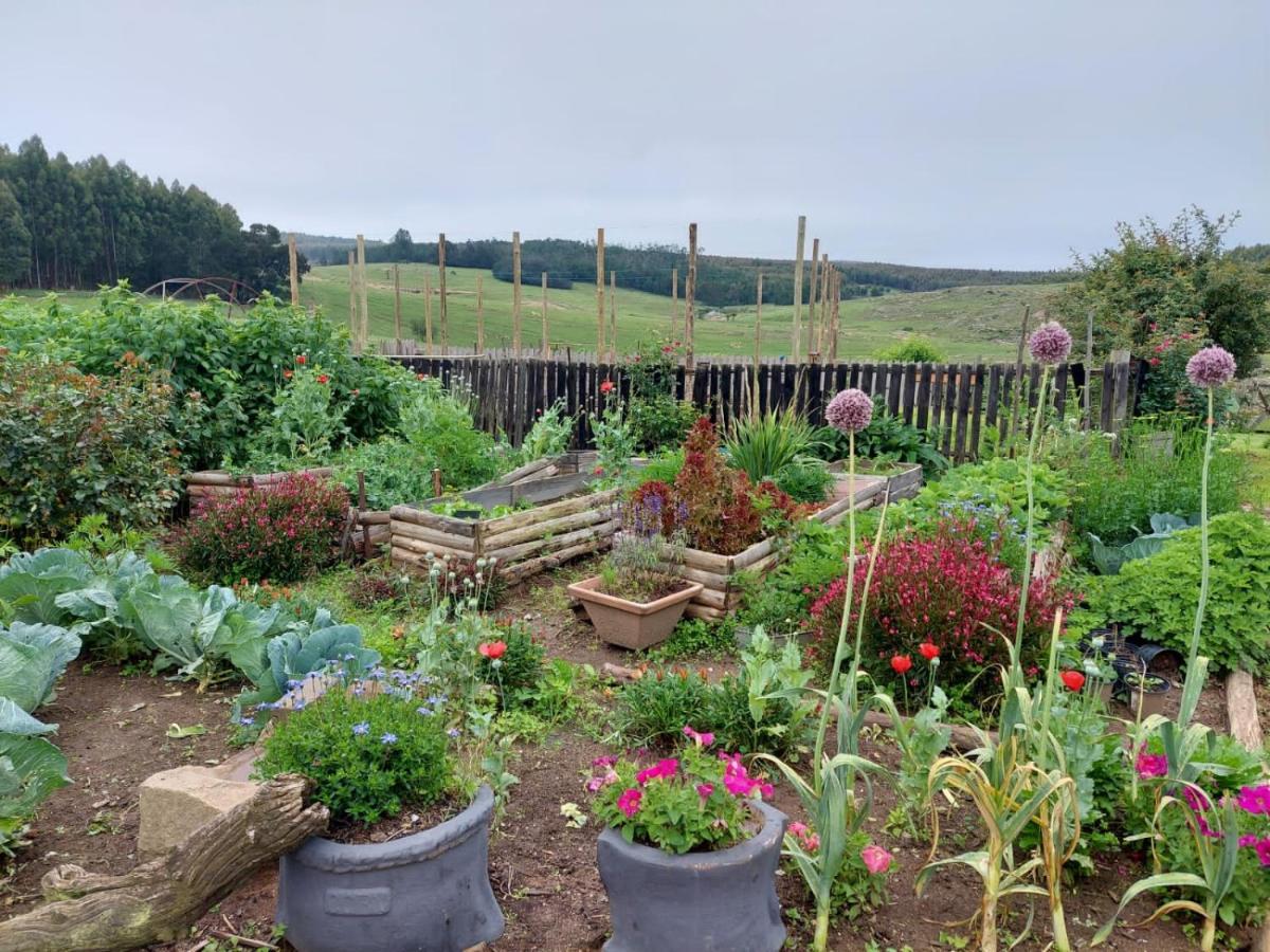 Rocks & Roses Farm Stay Lochiel Exterior foto