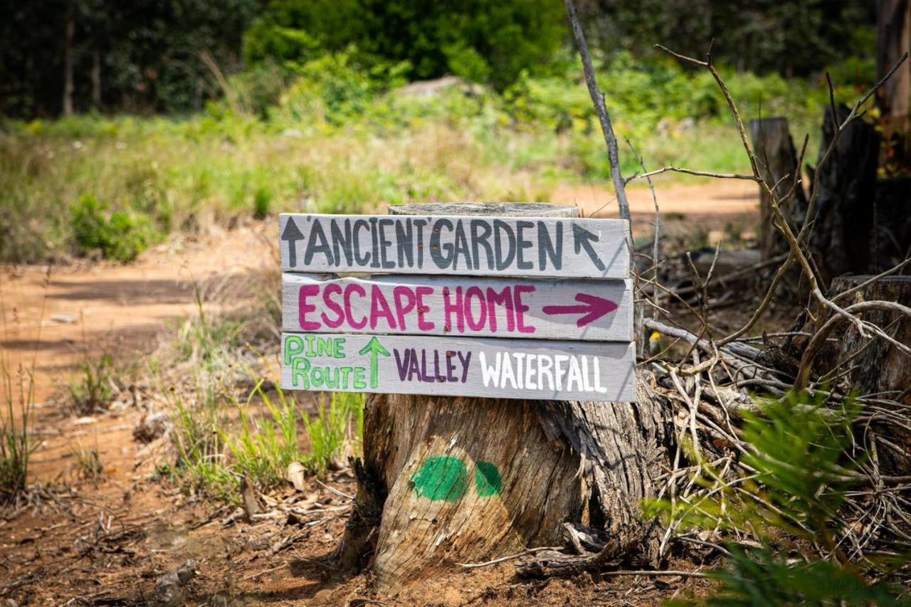 Rocks & Roses Farm Stay Lochiel Exterior foto