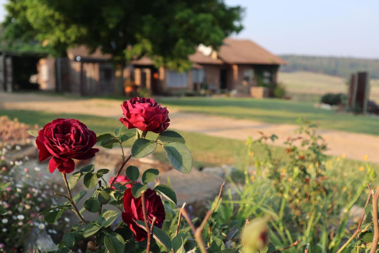 Rocks & Roses Farm Stay Lochiel Exterior foto