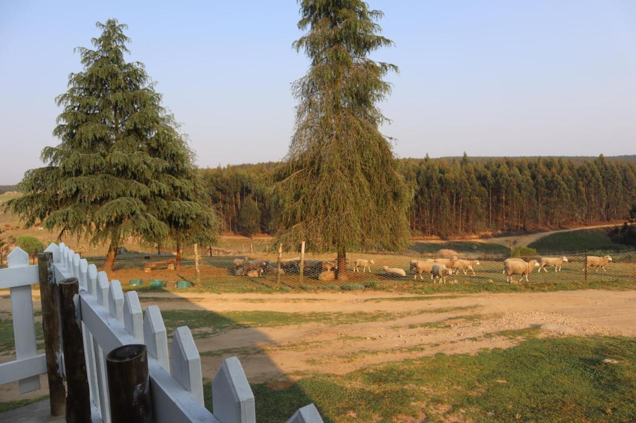 Rocks & Roses Farm Stay Lochiel Exterior foto