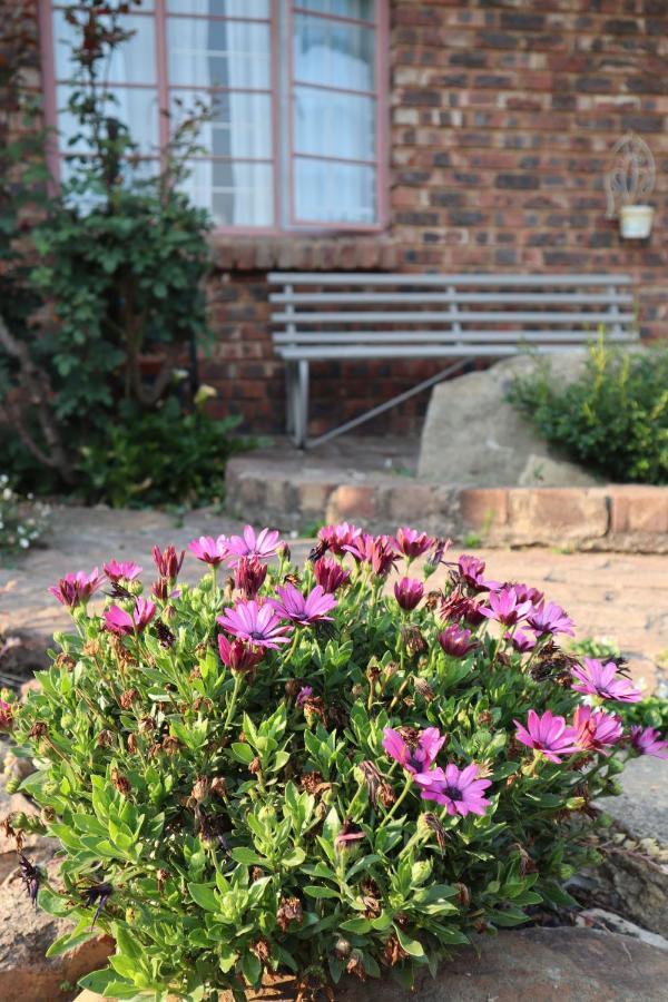 Rocks & Roses Farm Stay Lochiel Exterior foto
